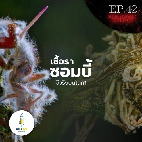 Stranger Science EP.42 เชื้อราซอมบี้ มีจริงบนโลก?