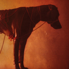 Preserve & Cherish (feat. Sam Carter)