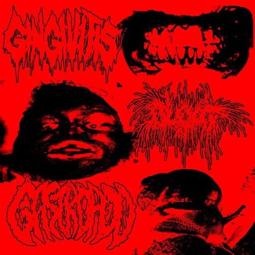 Rotted Roots, Bloated Gums