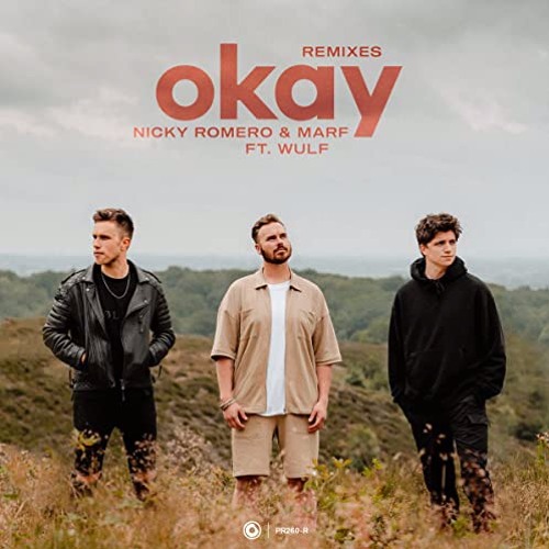 [BUY=FREEDOWNLOAD] Okay x Destiny (RYUYA MashUp)