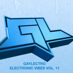 GAYLECTRO - ELECTRONIC VIBES VOL. 11