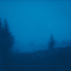 dream of you