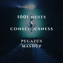 1001 Nuits x Consciousness (Pegazus Mashup) Full version on the link in description
