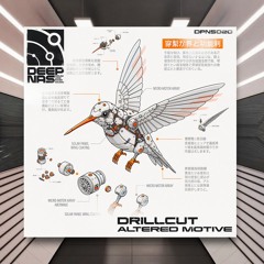 Drillcut - Snowrider [DEEPNAS] PREMIERE