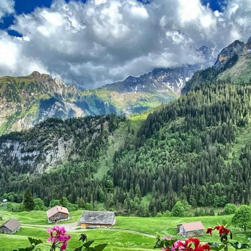 سور كاملة الشيخ عمرو الشرقاوي