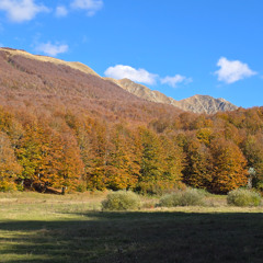 ORTF Lagastrello Pass Field Recording Session 16/10/2025