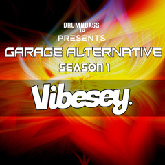 (S1) Garage Alternative - Vibesey