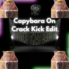 S'Kor - I Like That Bass (Capybara On Crack Kick Edit)