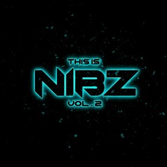 THIS IS NIBZ VOL. 2