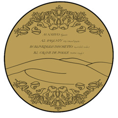 Premiere: B1 - Blinkduus Dischetto - Sino Calculis (Tribute) [DUR002]