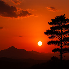 Where I Can Breathe Again