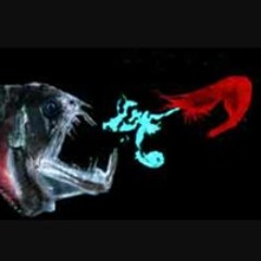 The Dark Side of Prawn Vol. 1