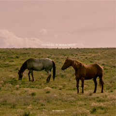 AM009 // Braga Circuit - Thanks All EP