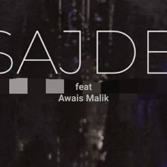 SAJDE FAHEEM ABDULLAH ft Awais Malik