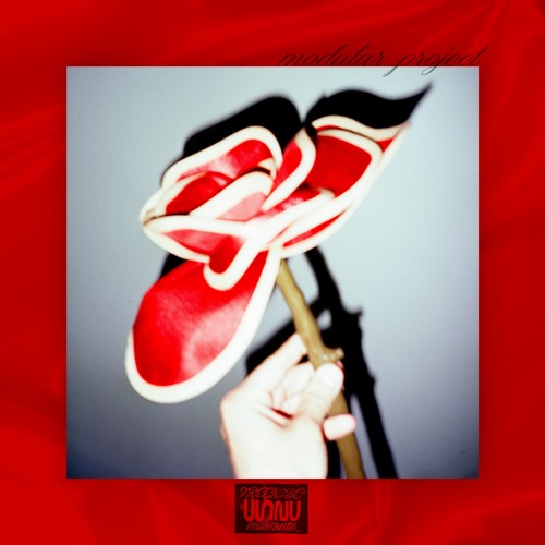 FM Music Show #028 Modular Project - Roses