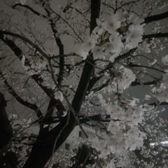blossom