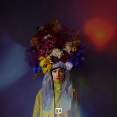 The Allegorist - Disillusion Echoes (Projekt Gestalten Revision)