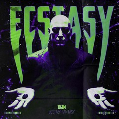 TDJM - ECSTASY FANTASY. [OUTRAGEOUS RECORDS]