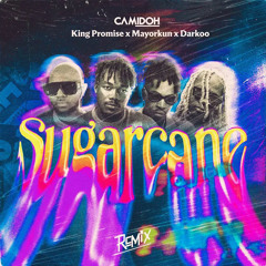 Sugarcane (feat. King Promise) (Remix)