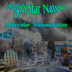 Molecular Transmutation