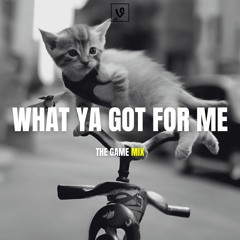 What Ya Got For Me (The Game Mix)
