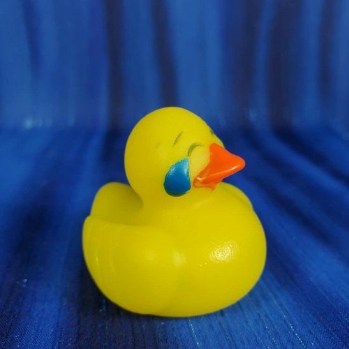 The Day Before She Left Me