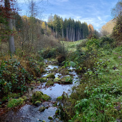 This place keeps killing our dreams