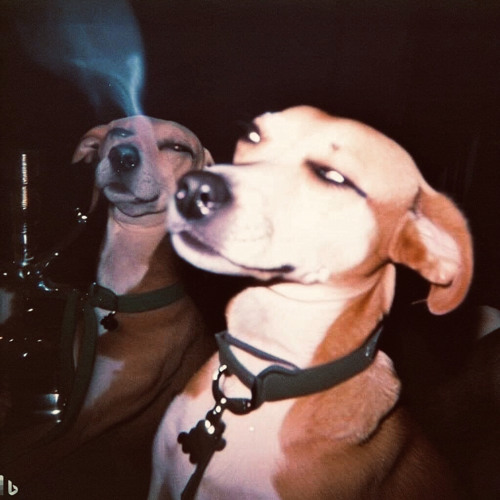 Mixset - Luxury Music - (Nbe & ViKa)