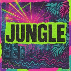 👁️ Bungalist Jungle + Drum & Bass + Hardcore  | Oldskool Jungle Old Skool Jungle