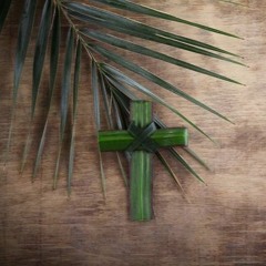 The Triumphal Entry of Christ!