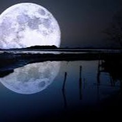 Beautiful Night