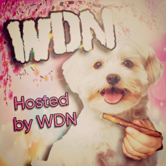 WDN (nyli)