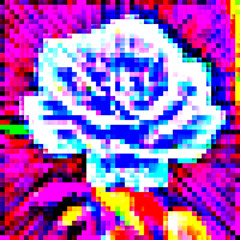 The Flower - 0