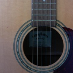 Like Tiger would/  makeN a hit(reversion/with guitar)