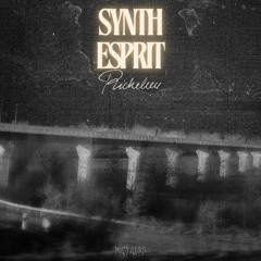 Richelieu - Synth Esprit (Sweat Dreams Edit) [Meteors Recordings]