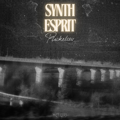 Richelieu - Synth Esprit (Sweat Dreams Edit) [Meteors Recordings]