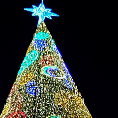 compo20211217 (Estrella)