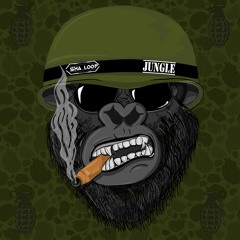 Thatch || DnB Mini Mix