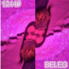 1244# - Beleg