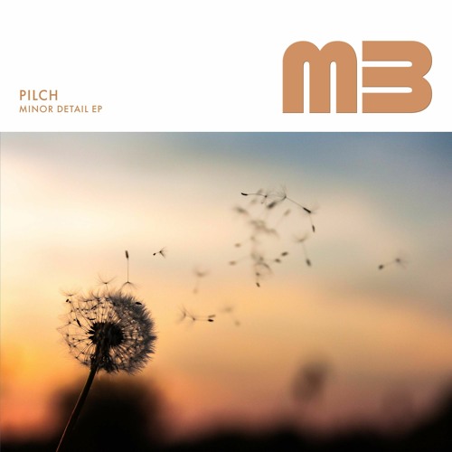 Pilch - I Can't Be Everything - DrMaster