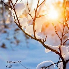 Melodic Session - 020/History of the outgoing year