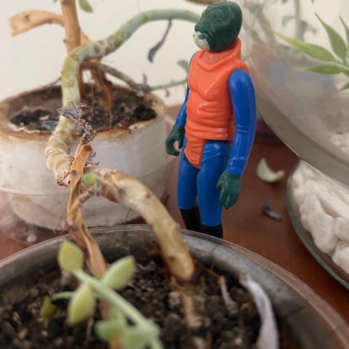 I don’t believe in any thing