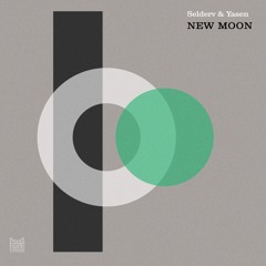 Premiere: Selderv & Yasen - New Moon [Poker Flat Recordings]