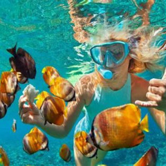 Best Snorkeling In Catalina Island Ca Prices Reviews