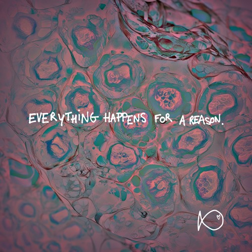 LITTLEFISH - Everything Happens For A Reason [FREE DL]
