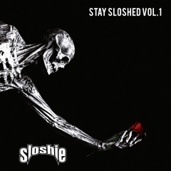 STAY SLOSHED VOL.1