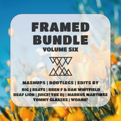 Framed Bundle | Volume Six by FNM | Mashups, Bootlegs & Edits
