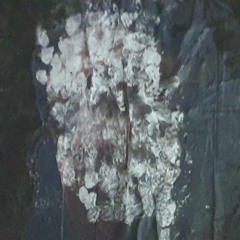 petit bonhomme disparaissant.jeudi 8 juin 2023.bringer.