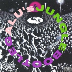 Just Wanna Rock (ALU's Jungle Bootleg)