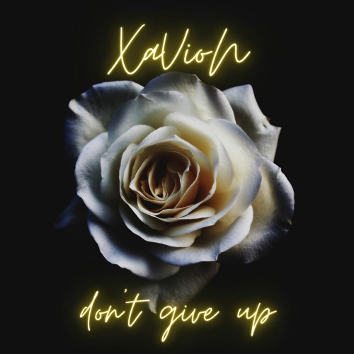 Don't Give Up